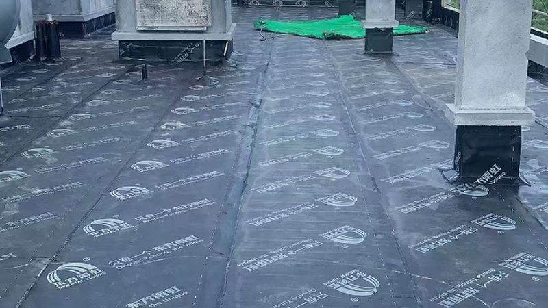 上海js防水涂料：揭秘其独特优势与应用场景