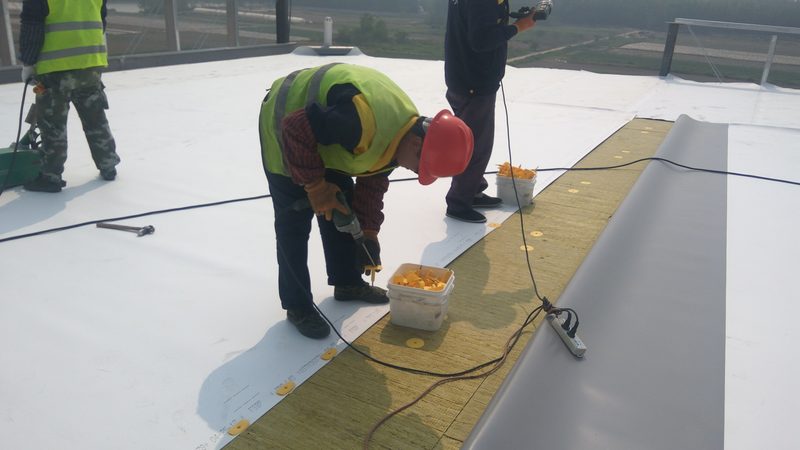 卫生间防水涂料品牌对比：揭秘选购背后的关键因素